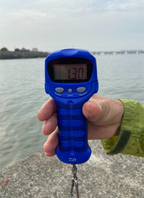 小潮のエギングは釣れる☆GUNNING-STYLE