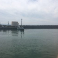 小鯖と豆鯵タカノハ鯛