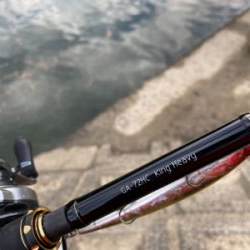 入魂フィッシュ