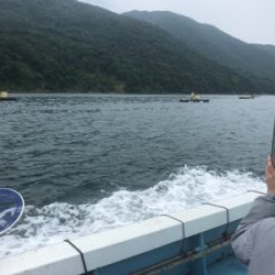 初めての筏でショアジギング