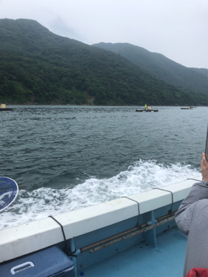 初めての筏でショアジギング