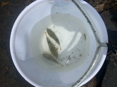 キス狙いでしたが…