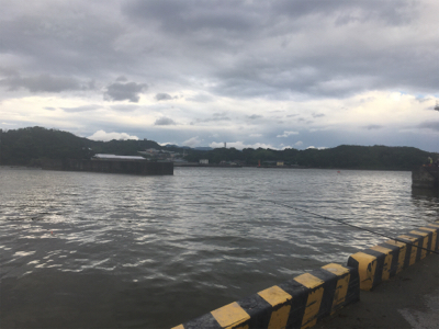 小鯖泳がせでツバス