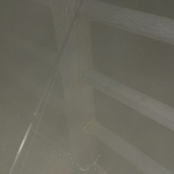 ヘチ釣りでカサゴ＆アナゴ