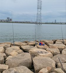 夕方のうなぎ釣り