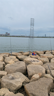 夕方のうなぎ釣り