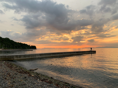 まだいた！イカ