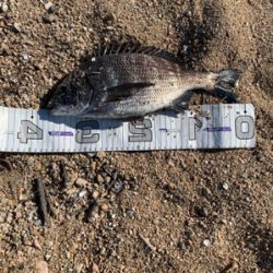 いい感じになってきました!