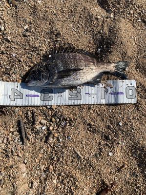 いい感じになってきました!