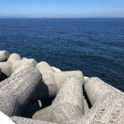 ちょっと調子に乗って貝塚釣行‼️