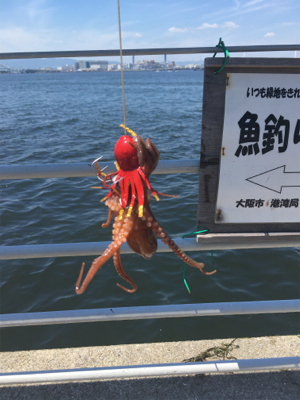 新子マダコ数釣り9杯♪