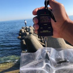 満潮1時間前‼️