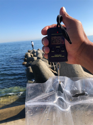 満潮1時間前‼️