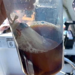 マイボートでジギング、イカメタル釣行