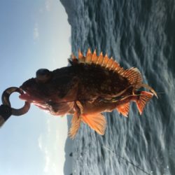 七目釣り達成!!マイボートでタイラバ釣行