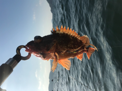 七目釣り達成!!マイボートでタイラバ釣行