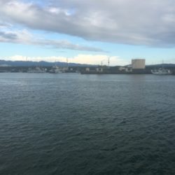 サビキにボイルオキアミでグレ