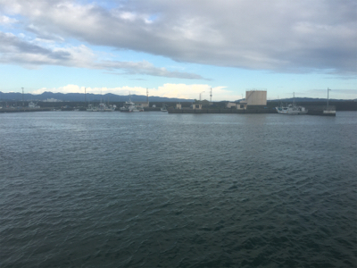 サビキにボイルオキアミでグレ