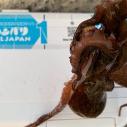 仕事帰り1時間！