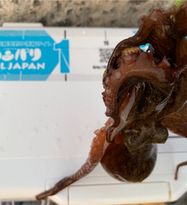 仕事帰り1時間！