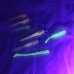 アジング練習 157