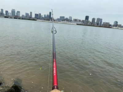 ハゼ釣りなどなど