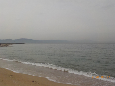 ピンギス絶好調