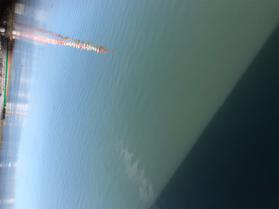 連日短時間アジング