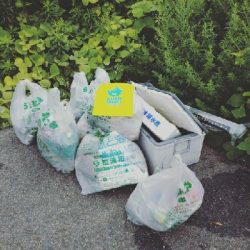 釣場清掃からのエギング