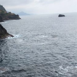 春烏賊最終かな?☆GUNNING-STYLE