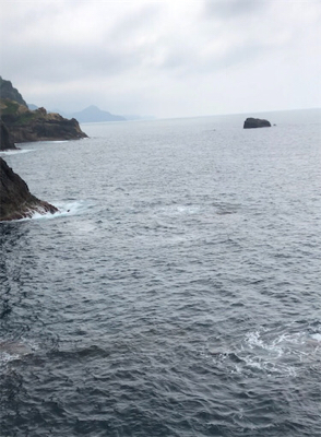 春烏賊最終かな?☆GUNNING-STYLE