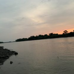 塩分濃度低く濁りが酷い