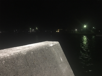 泳がせでハネが三匹