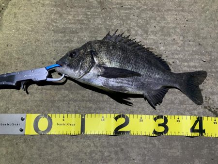 一瞬の時合で…