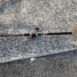 サバが湧いて…。