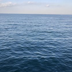 激渋の中での2本