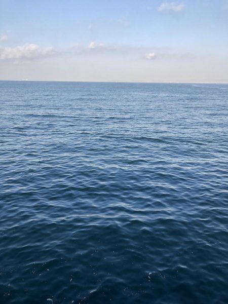 激渋の中での2本