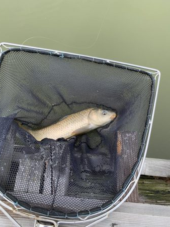 加西釣り池センター