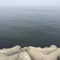 無ハマチ無限サバ