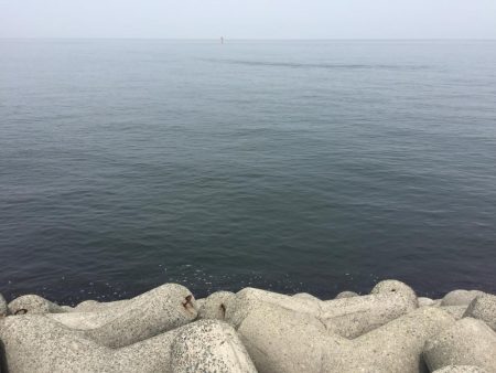 無ハマチ無限サバ