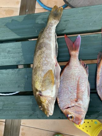 タイラバ渋かった