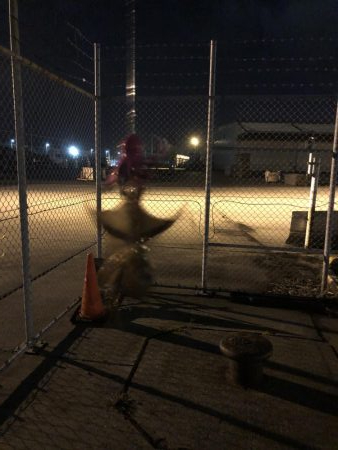 5ゲット2キープ3逃走！タコまつり開催中