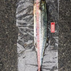 初❗️、、パート3