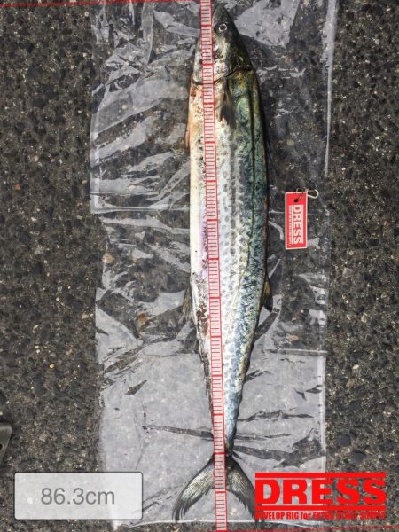 初❗️、、パート3