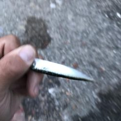 アジが渋い。マナーが悪い