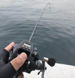 泉州丸さんで五目