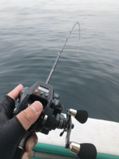 泉州丸さんで五目