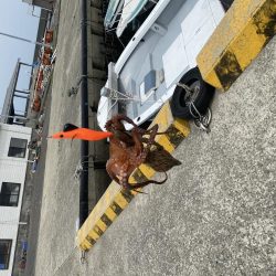 タコ！！！〜今晩はたこ焼き〜