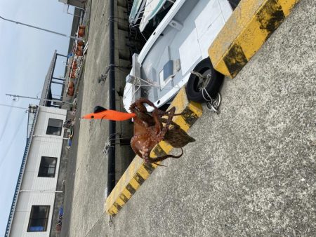 タコ！！！〜今晩はたこ焼き〜