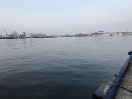 リベンジならず